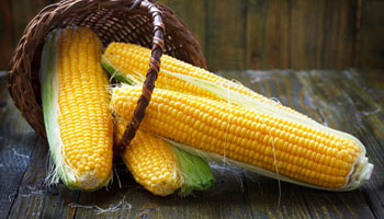 corn-drying-storage